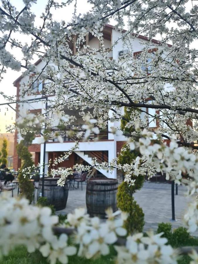 Hotel Karse Ambrolauri Esterno foto
